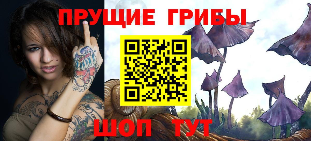 Тобольск  Псилоцибиновые грибы мицелий  Вход с VPN 